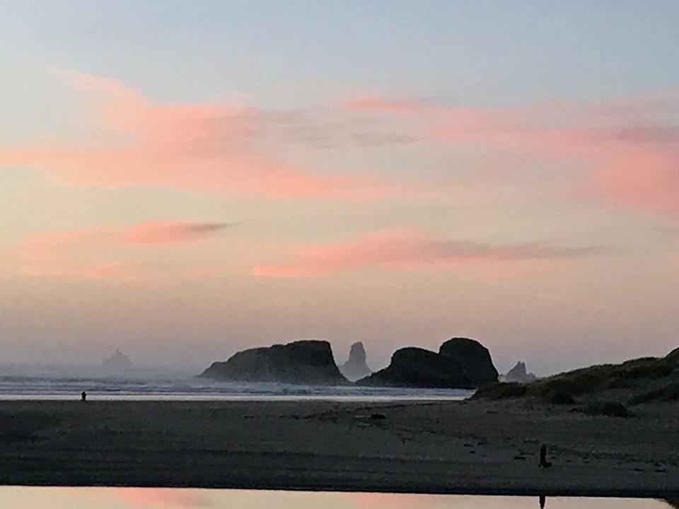 Webb'S Scenic Surf Hotel Cannon Beach Eksteriør billede